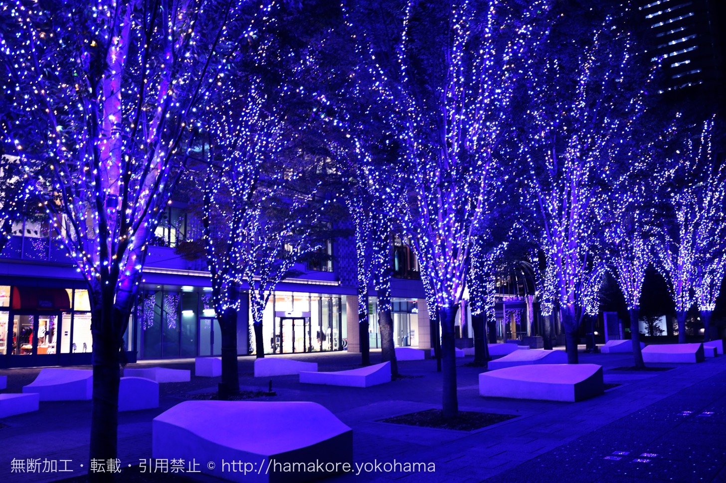 横浜「MARK IS」でクリスマスツリーが点灯！みなとみらい最大級の幻想的イルミネーションも