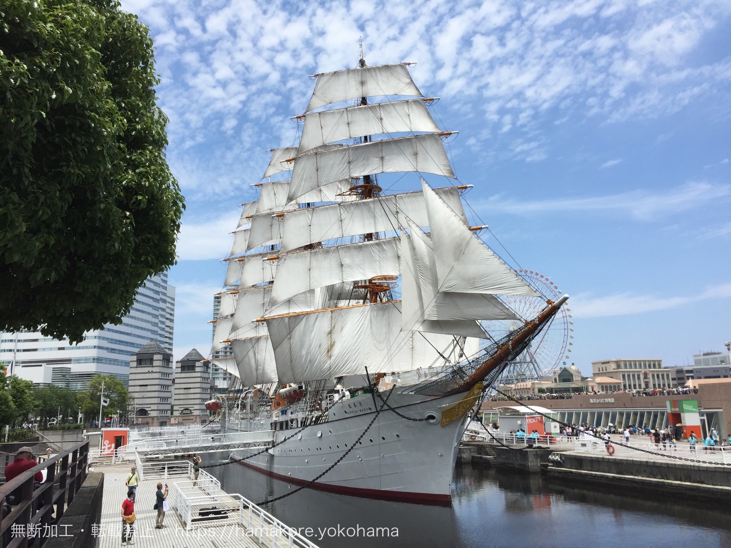 帆船日本丸、国の重要文化財に指定！海上で保存されている帆船として日本初