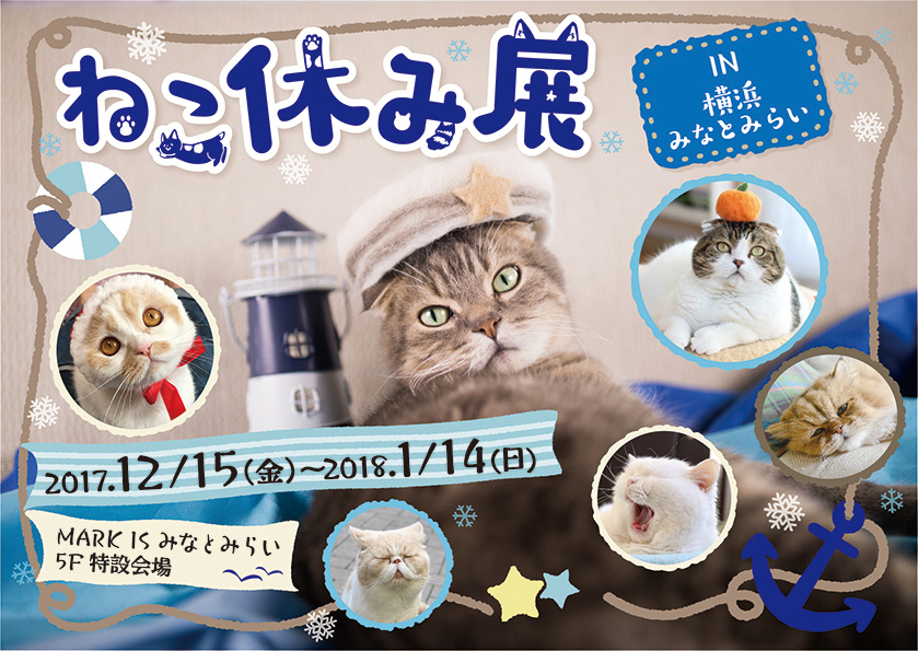 横浜みなとみらいで「ねこ休み展」が2017年12月15日より開催！横浜開催は初