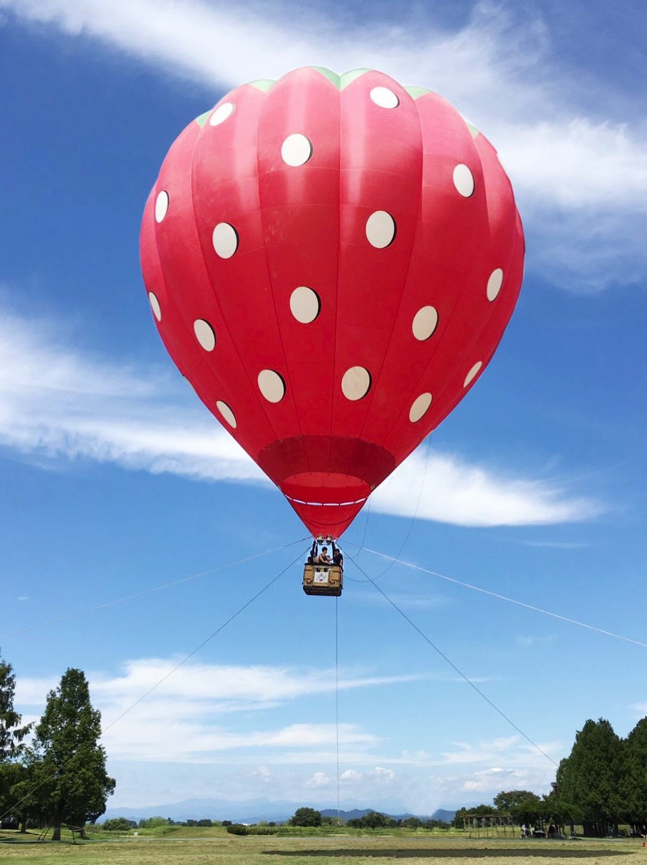 熱気球搭乗体験