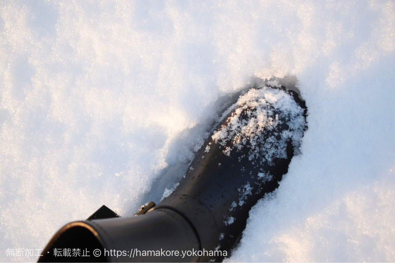 10センチ近く積もった横浜の雪