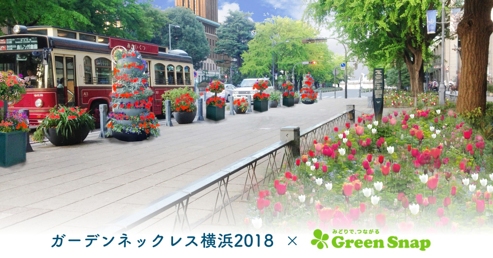 ガーデンネックレス横浜2018、植物アプリ「GreenSnap」と連携して花の名前を知れるように