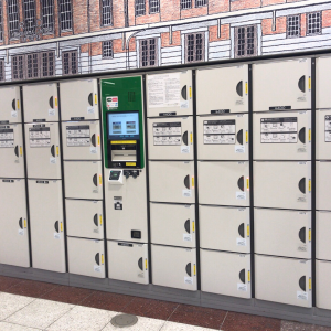 検索結果 はまこれ横浜