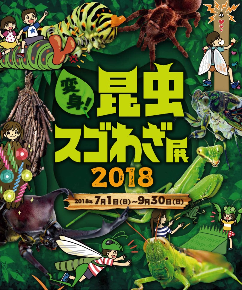 オービィ横浜 夏季イベント「変身！昆虫スゴわざ展」を7月1日より開催