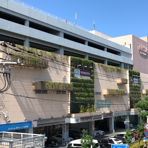 神奈川県ほか買い物スポット はまこれ横浜