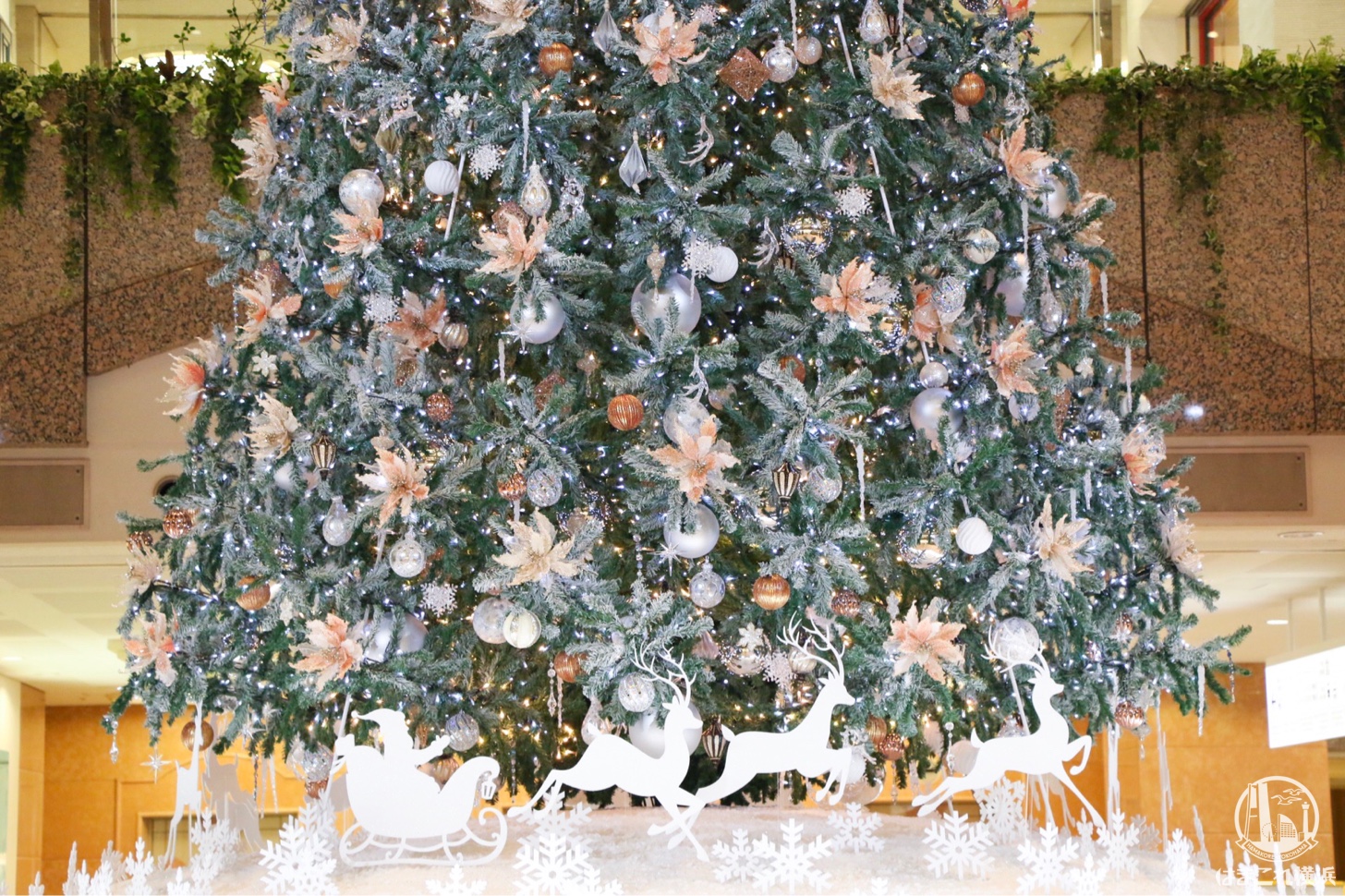 ランドマークプラザ  クリスマスツリー