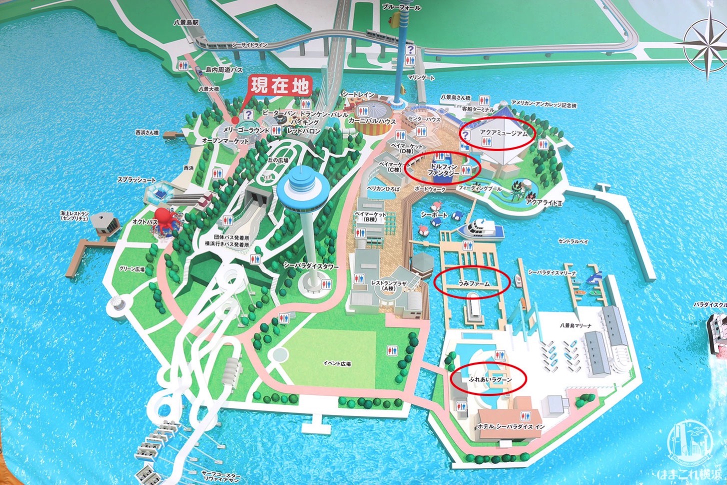 横浜・八景島シーパラダイス 4つの水族館