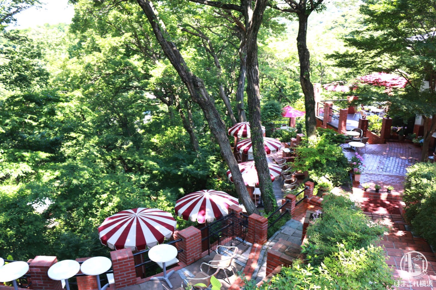鎌倉「樹ガーデン」は大自然で癒されるお洒落カフェ！限定スイーツも