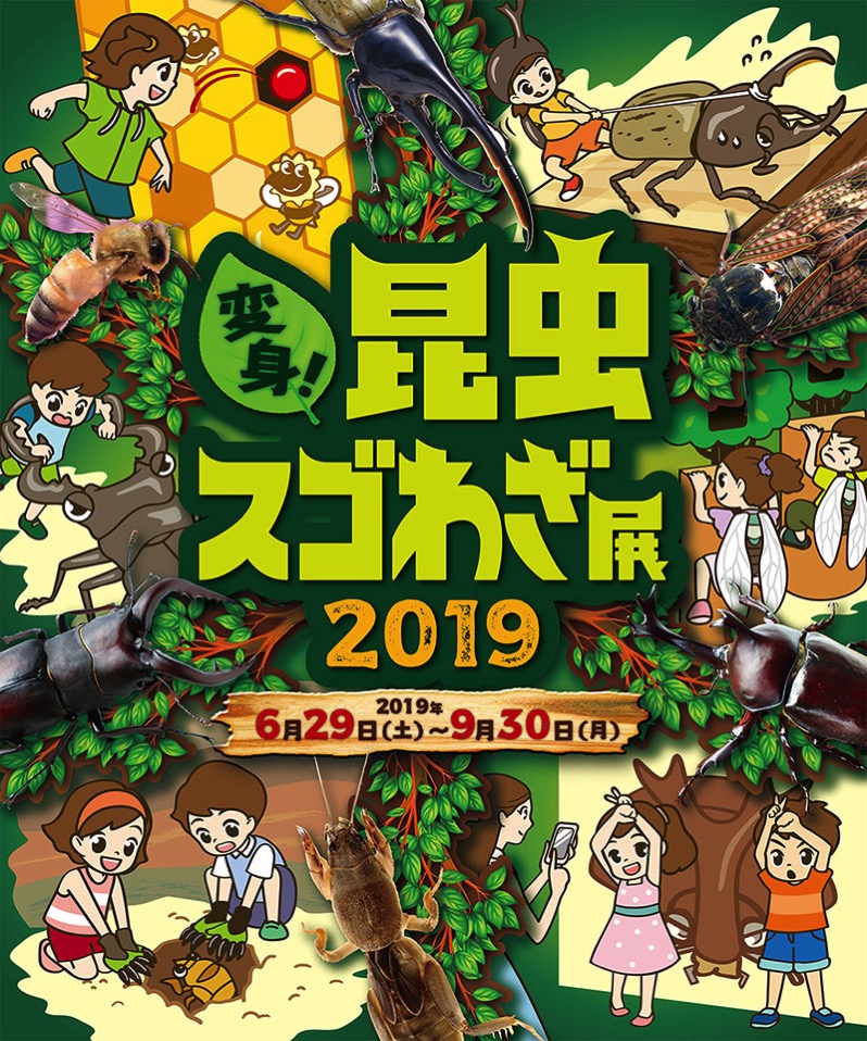 オービィ横浜 昆虫の世界をテーマに「変身！昆虫スゴわざ展2019」開催