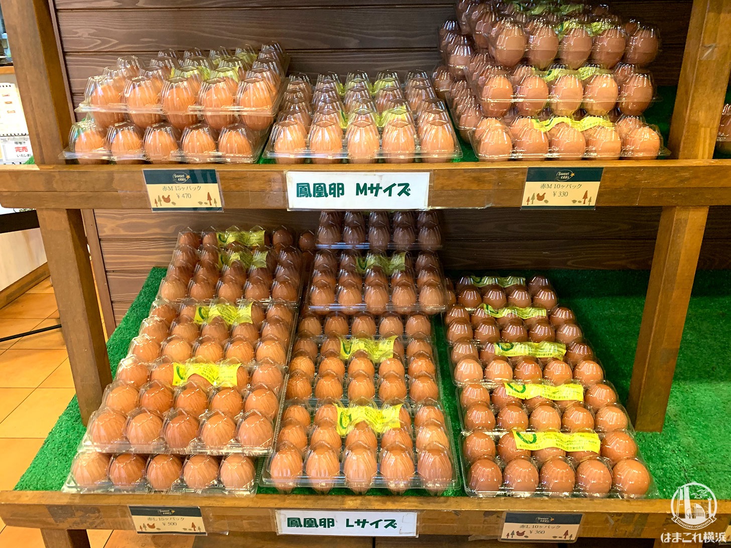 売店スペース 鳳凰卵