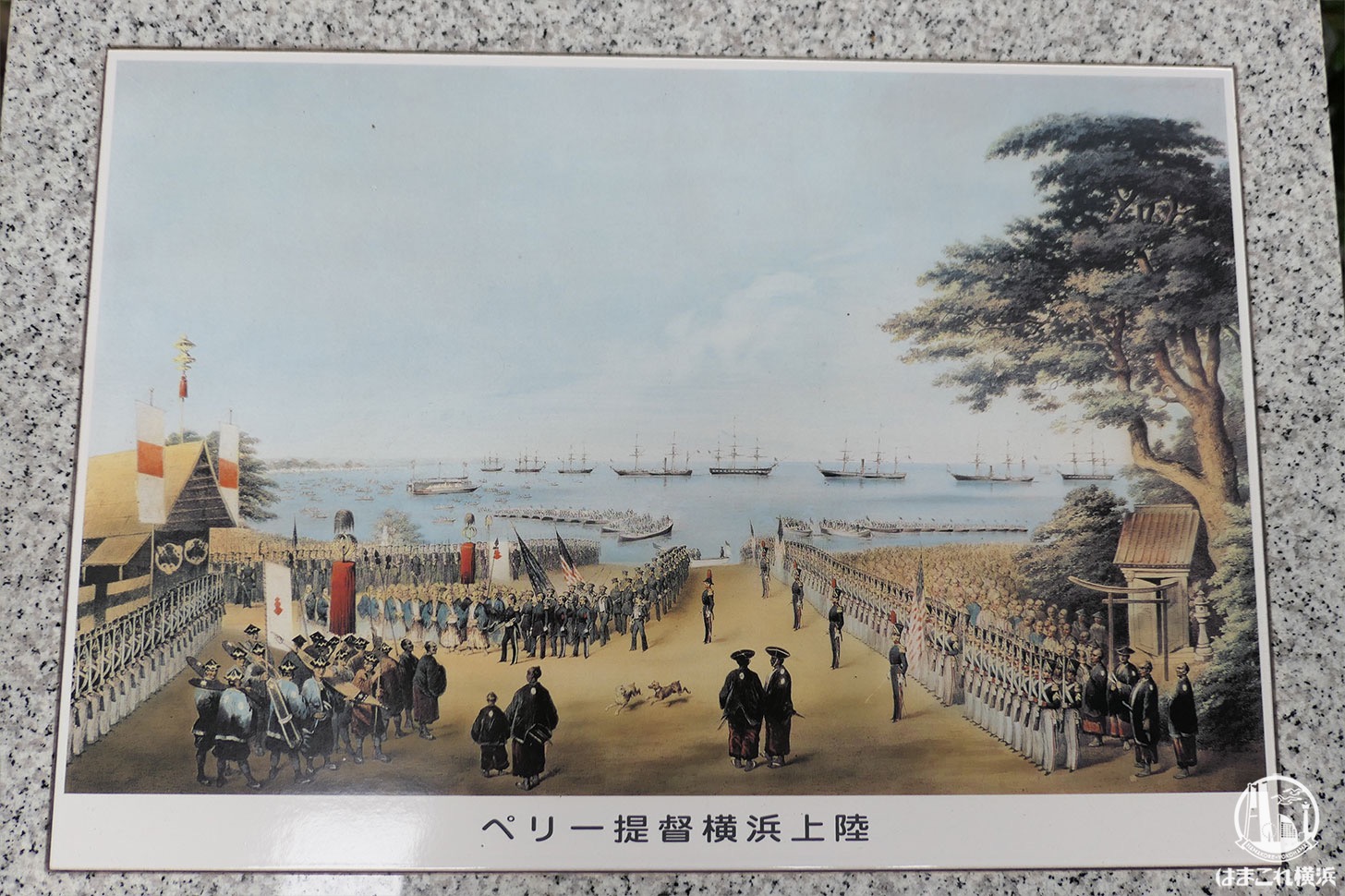 ペリー提督横浜上陸の絵に描かれるたまくすの木