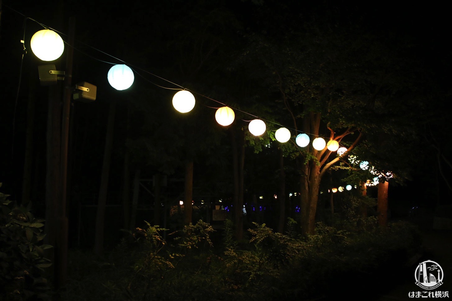 金沢動物園 夜の雰囲気