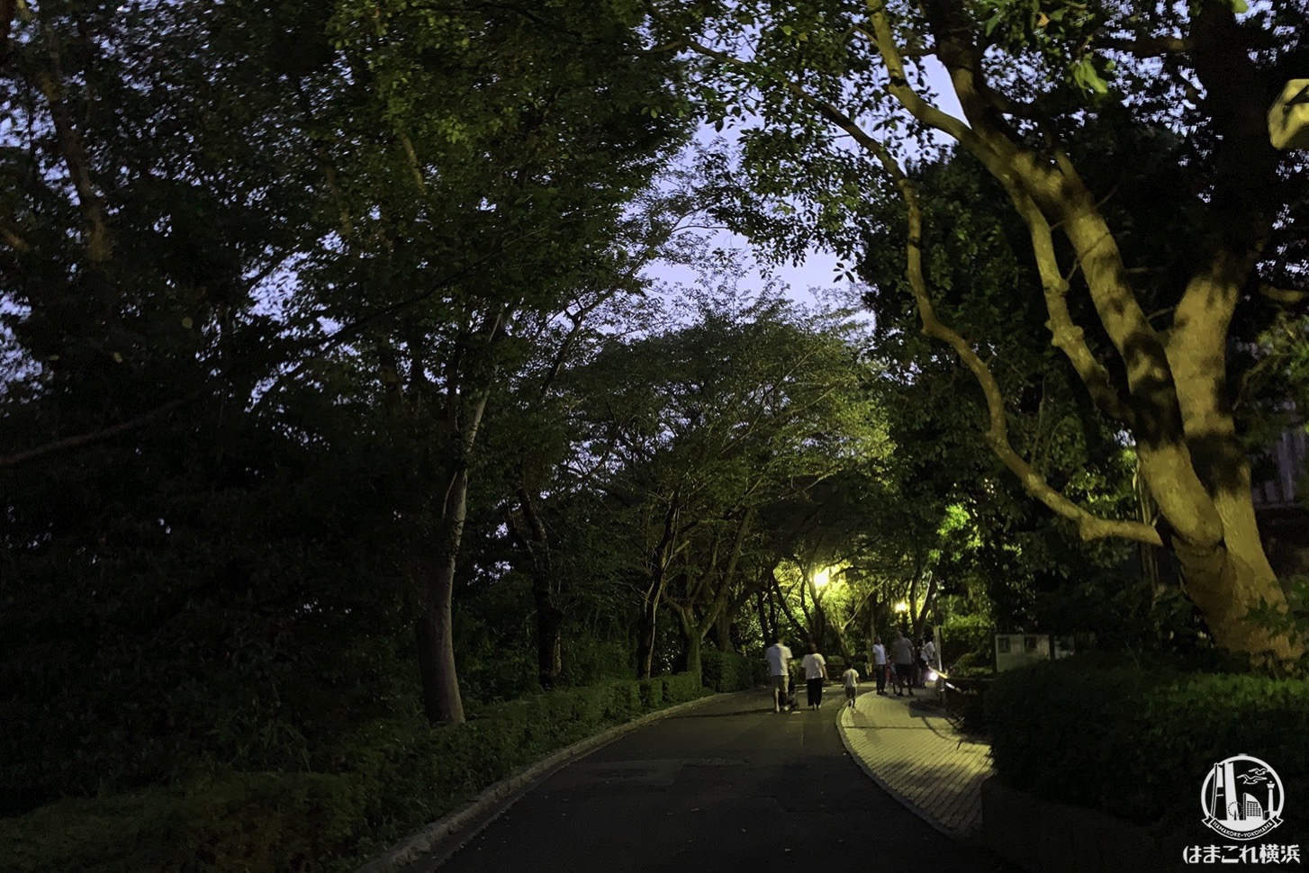 金沢動物園 夕方の雰囲気