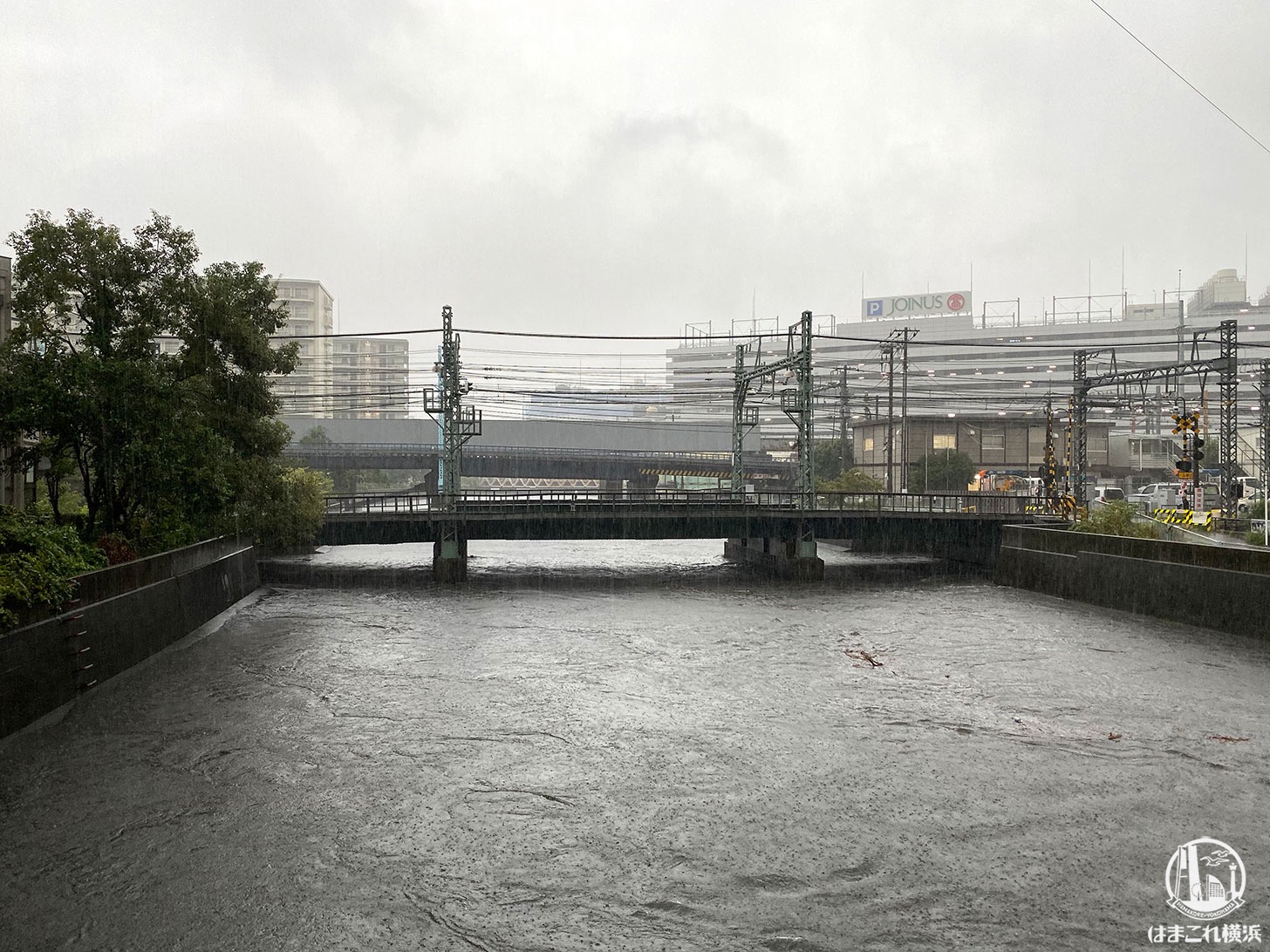 神奈川県の川、帷子川や大岡川の水位をネット上で知る方法・サイト