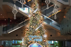 マークイズみなとみらいに体験型のクリスマスツリー登場！ナイトコンサートも