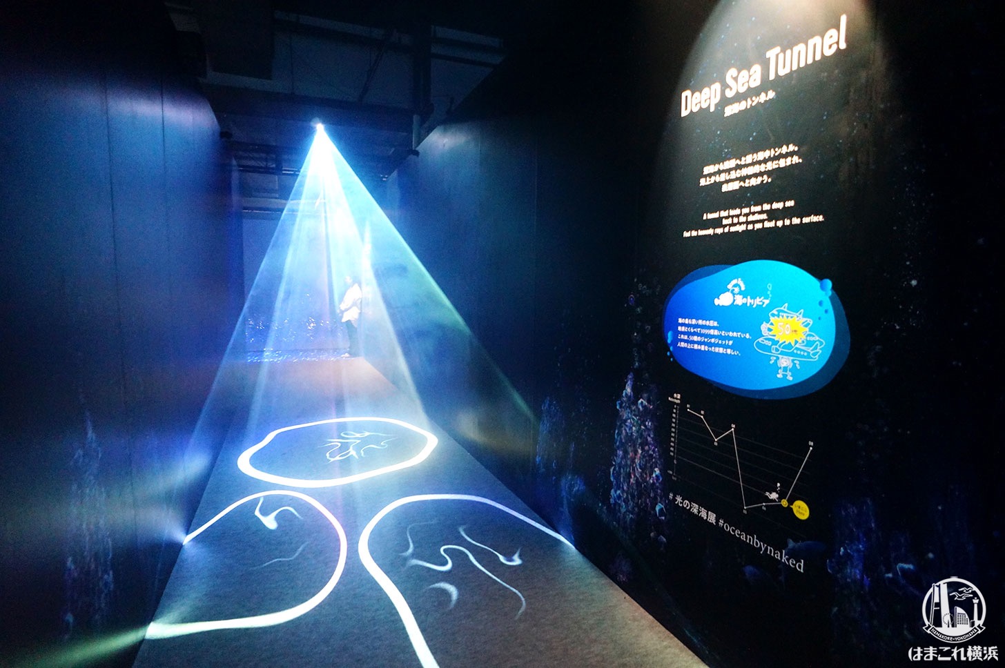 オーシャン バイ ネイキッド 光の深海展「光のトンネル」