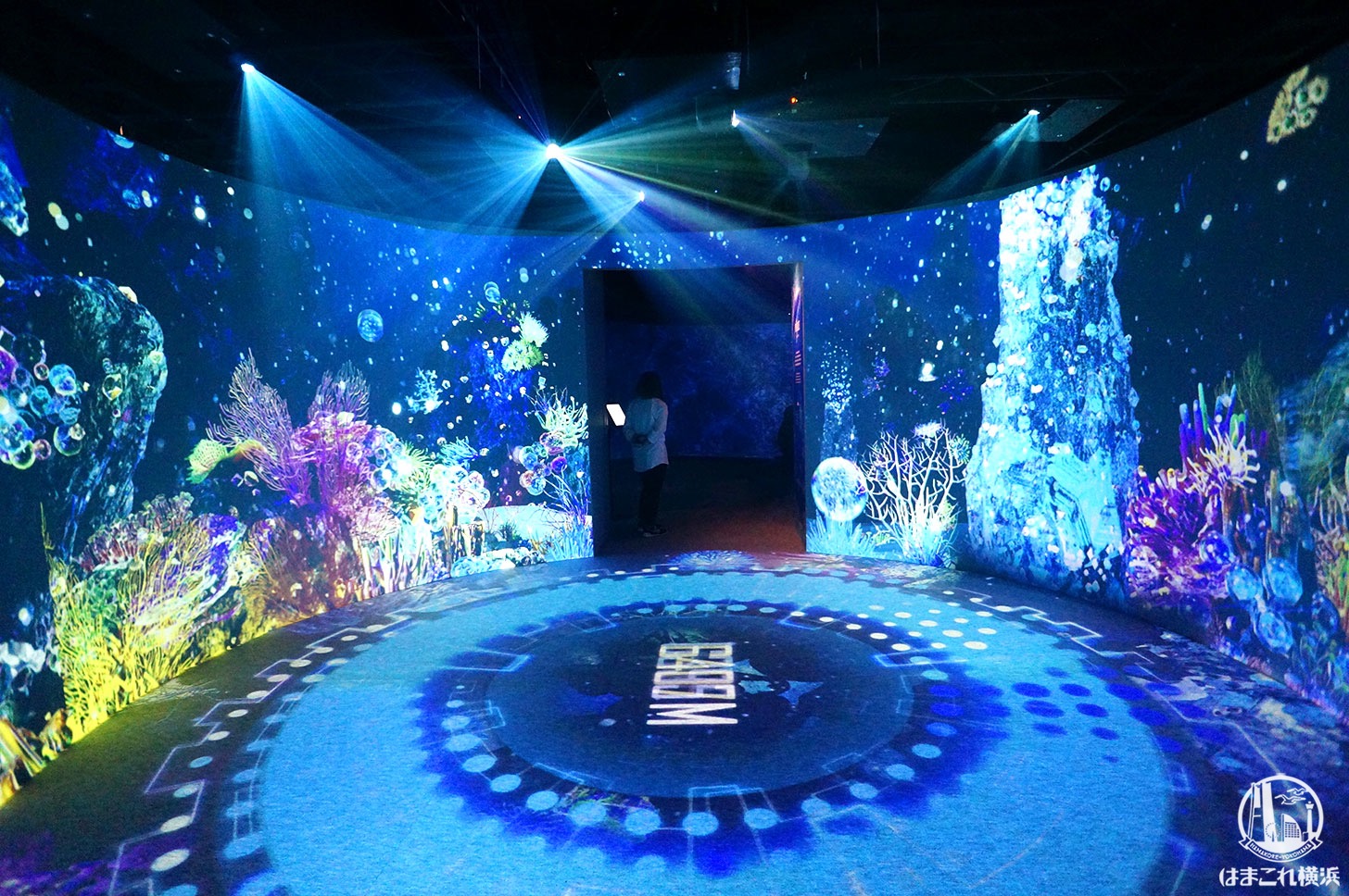 オーシャン バイ ネイキッド 光の深海展は幻想的世界の連鎖！横浜アソビル体験レポ
