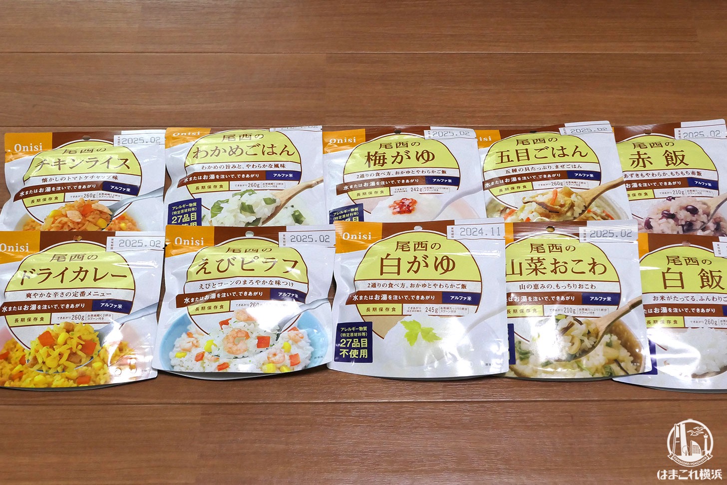 尾西食品 アルファ米10種類セット(各味1食×10種類)