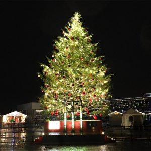 横浜駅のアソビル オーシャン バイ ネイキッド 光の深海展 でクリスマスを彩る限定演出 はまこれ横浜