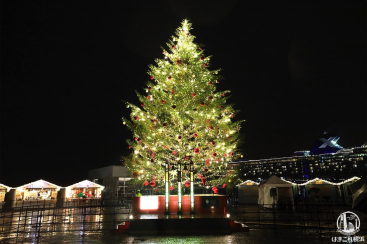 横浜赤レンガ倉庫のクリスマスマーケット会場拡張でよりロマンチックに 初日レポ はまこれ横浜