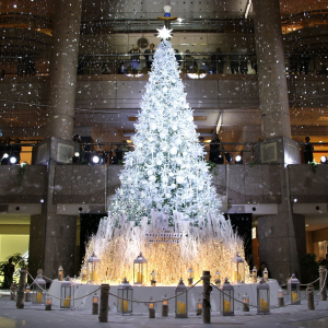 19年 横浜みなとみらいのクリスマスイルミネーション ツリー情報まとめ はまこれ横浜