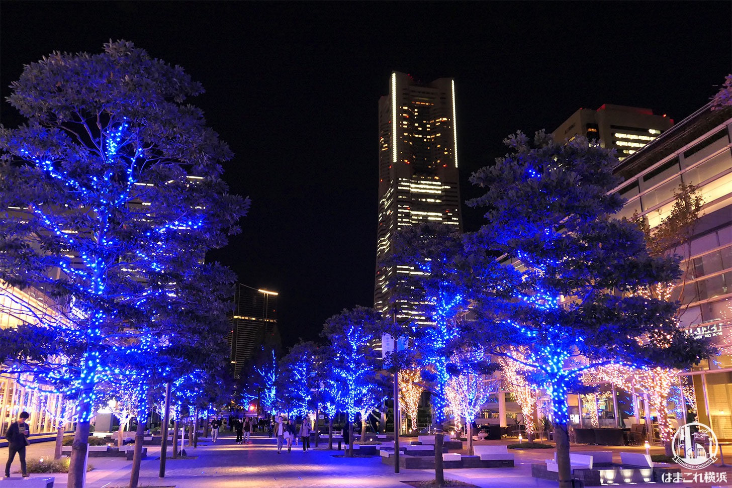 ヨコハマミライトと横浜ランドマークタワー夜景