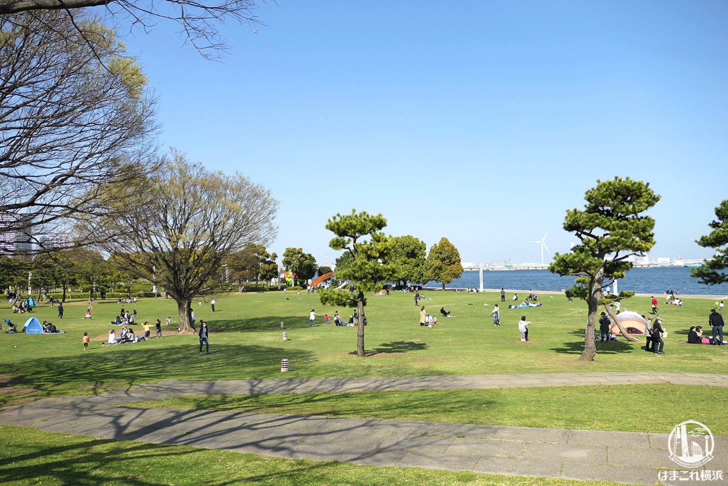 臨港パークは横浜港が超間近・自然豊かで散歩におすすめ！広大な芝生でのんびりと