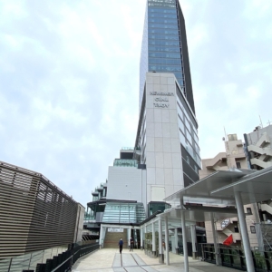 横浜に年上半期オープンした新スポット 商業施設まとめ はまこれ横浜