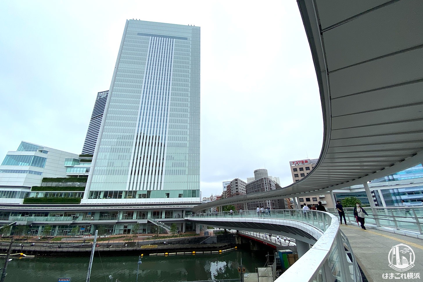 さくらみらい橋、横浜市庁舎から桜木町駅まで歩いてみた！新南口との位置関係
