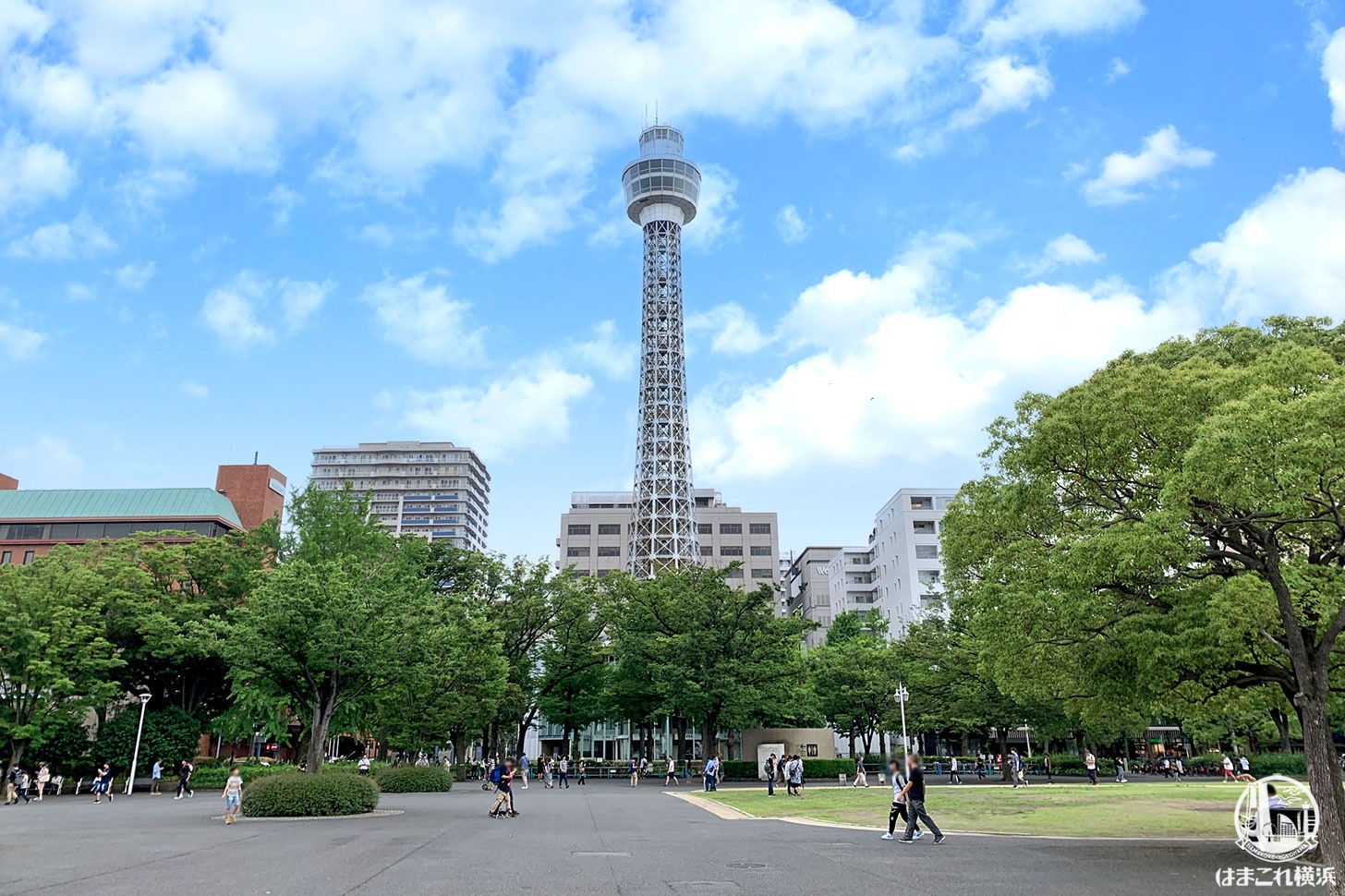 横浜マリンタワー 工事中のの塔体等を活用したライトアップ、7月7日より実施