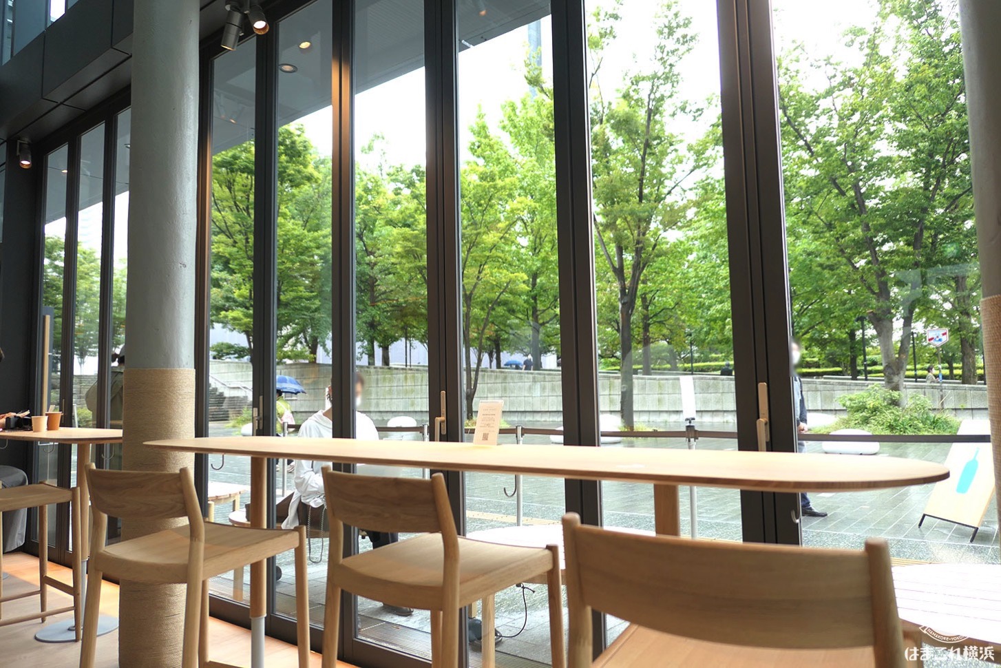 ブルーボトルコーヒーみなとみらいカフェ 窓側のカウンター席から見える緑