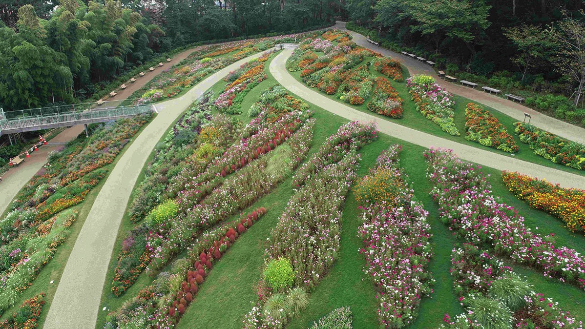 ガーデンネックレス横浜2020「秋の里山ガーデンフェスタ」開催！約120品種25万本の花々
