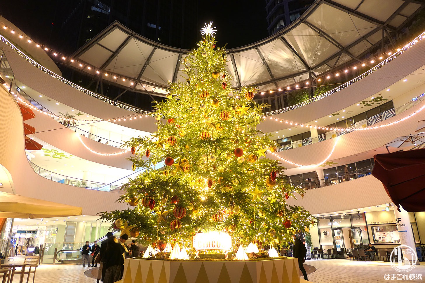 年横浜ベイクォーターのクリスマスツリー点灯 メリーゴーランドは回転時間あり はまこれ横浜