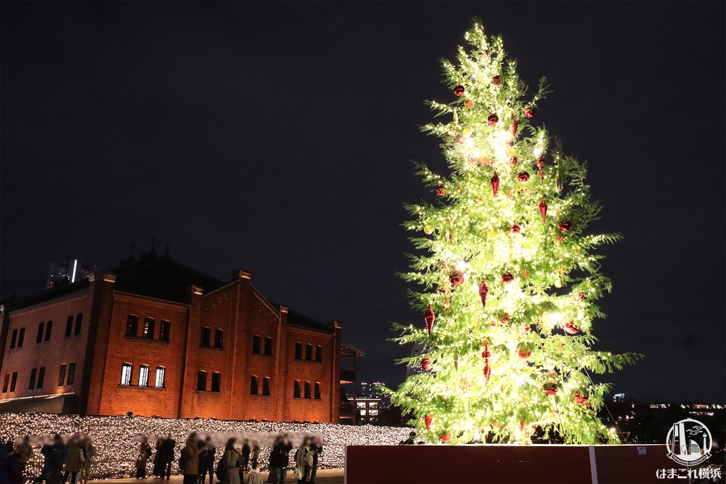 横浜赤レンガ倉庫 2020年クリスマスツリー