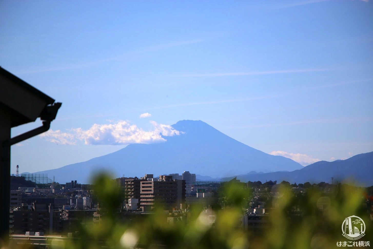 山手イタリア山庭園から見た富士山